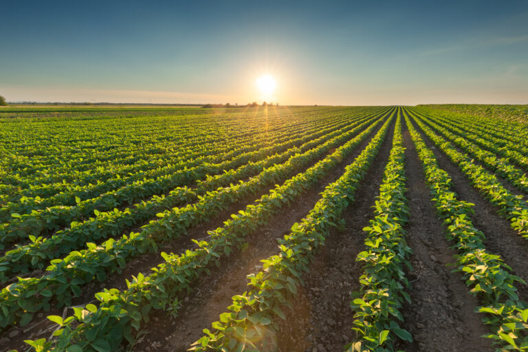 Agriculture water rule risk assessment