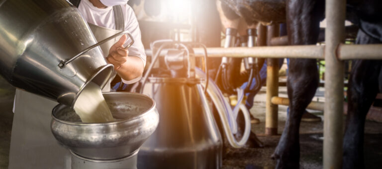 H5N1 Raw Milk Infectious Disease