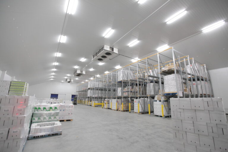 Refrigerated warehouse - concerning an FDA warning letter that was sent to a company for rodent infestation and GMP violations