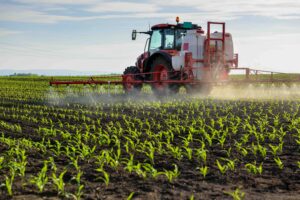 Tractor spraying young corn with pesticides
