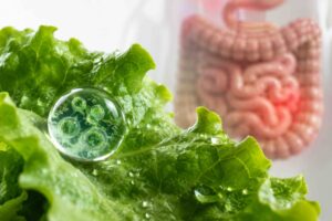 Cyclosporiasis and Leaf Lettuce